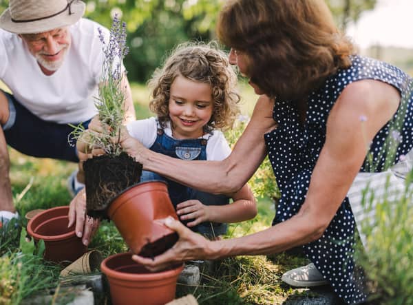 Essential gardening tools for spring 