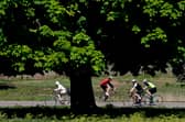 Cyclists ride their bicycles in the sunshine in Richmond Park.