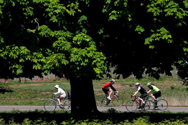 Cyclists ride their bicycles in the sunshine in Richmond Park.