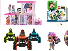 Hamleys have revealed their top 10 Christmas toys for 2021