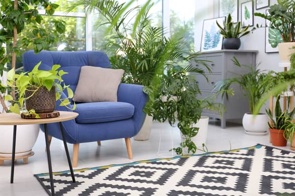 where to buy great living room chairs, from leather, deep seat, to mid century frames