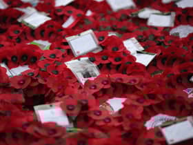 Wreaths lay at the foot of the Cenotaph after the Remembrance Day (getty images)