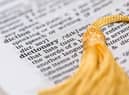 Collins Dictionary releases 2022 top words including Word Of The Year 