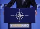 NATO stands for the North Atlantic Treaty Organisation