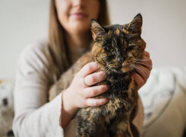 Flossie, pictured here with new owner Vicki, has been named the world’s oldest cat by the Guiness Book of World Records.