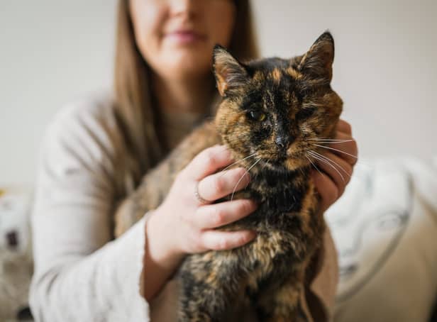<p>Flossie, pictured here with new owner Vicki, has been named the world’s oldest cat by the Guiness Book of World Records.</p>