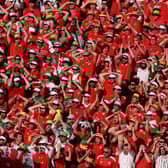 The red wall has followed Wales to Qatar