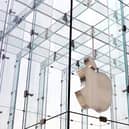 Apple Replay enables Apple Music users to review their listening stats (Photo: AFP via Getty Images)