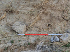 A human skull has been found during a beach clean on the Cornish coast. Photo: Cornwall Council.