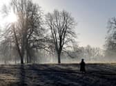 A pedestrian walks in a frost-covered Hyde Park in London during a cold spell in January 2022 (Photo: AFP via Getty Images)