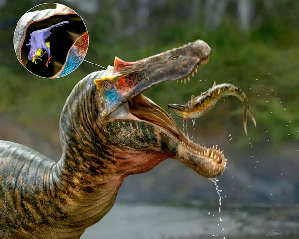 The brains of spinosaurs, the biggest meat-eater to ever exist on our planet, have been unveiled by a group of UK and US scientists.