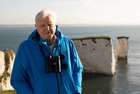 Sir David Attenborough presents Wild Isles