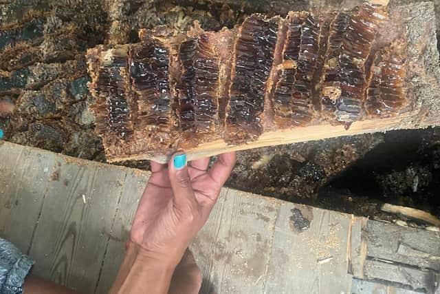 The family found huge six-foot pieces of honeycomb and litres of honey under their floorboards.