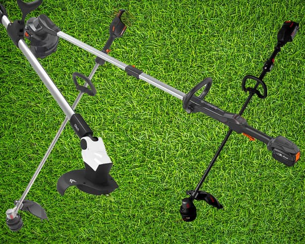 Best battery-run grass trimmers UK 2023 
