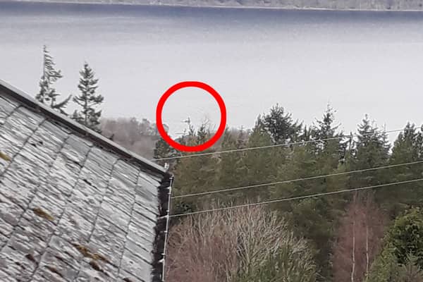Loch Ness Monster 2023: Holidaymaker captures image of ‘creature’ with ‘huge neck’ & believes it’s Nessie