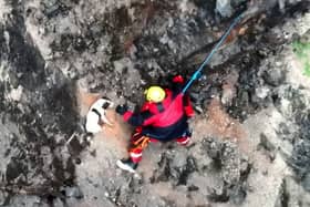 Video from Avon and Somerset Drone Team shows stranded dog's tail wagging with joy as fire crews abseil down to recuse him from a cliff face