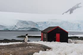 A charity is looking for a team of people to run the world’s most remote post office, which can be found in Port Lockroy bay in Antarctica, for five months. (Alexey Seafarer - stock.adobe.co)