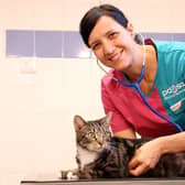 Ensuring your pet gets the best care PDSA (photo:  Alex Cantrill-Jones/ACJ Media)