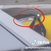 Concerned Spirit Airlines passenger captures moment worker tapes plane wing before take-off 