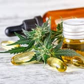 Medicinal cannabis can help relieve pain caused by cancer, study finds. 