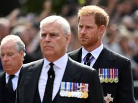 Prince Andrew and Prince Harry