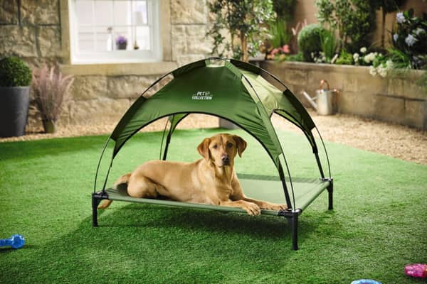 Aldi has launched a new affordable pet range to help keep pets warm during the warmer months 