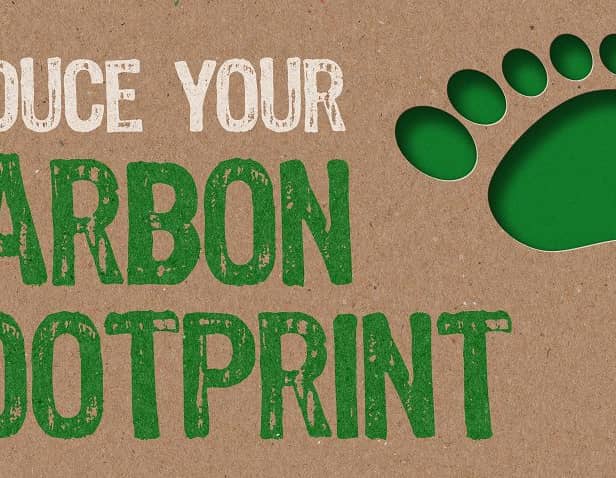 Reduce your carbon footprint (photo: Shutterstock)
