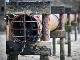 Rise in bills expected as England’s water companies promise to tackle sewage spills (Photo by GLYN KIRK/AFP via Getty Images)