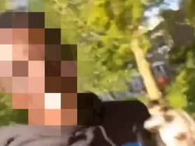 The Met Police said the teenager is currently being held in police custody over a series of prank videos on TikTok. 