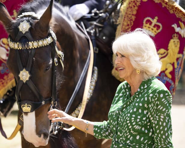 Queen Camilla with Juno, the first mare to be a Household Cavalry Drum Horse (Credit: Royal.uk)