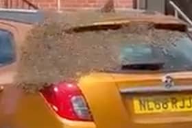  A three-day-old car was swarmed by thousands of bees, leaving its owner stunned. (SWNS)