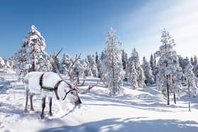 easyJet has launched eight new routes from eight UK airports this winter, including one of the most popular Christmas destinations, Lapland.