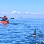 Ally Connell, 38, was only a mile from shore on a fishing trip when he saw a massive shark fin poking out of the water.