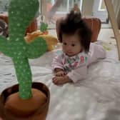 Millie Ray, a five-month-old baby with abnormally thick hair, Vancouver, British Columbia, Canada, 2023. See SWNS story SWSMhair. This baby has such an impressive head of hair that people think she's wearing a wig. Millie Ray, a five-month-old, was born with thick hair, and it has now grown so thick that people assume she's wearing a wig for babies. Julia Zhou, AGE, and Alex Kwong, AGE, Millie's parents say that people are fascinated by the tot's impressive mop of hair. They often ask the young parents, from Vancouver, B.C., Canada, if she is wearing a wig and assume she's older than she is. 