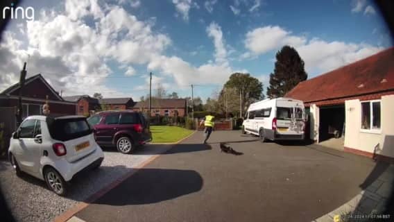 Video grab as a delivery man hurdles a gate after being chased by a small dog.  