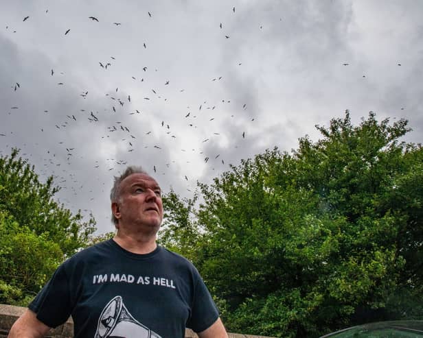 Gary Hough, 62, looks up to the skies outside his home surrounded in seagull