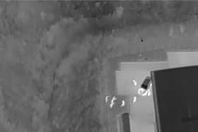 Suspects located by drone in dark undergrowth.