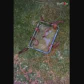 Creepy garden hack: Watch as horde of slugs drown in BEER