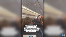 Man taken off plane after ‘trying to storm cockpit at 30,000ft’.