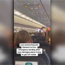 Man taken off plane after ‘trying to storm cockpit at 30,000ft’.