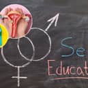 The RSE curriculum covers a wide range of topics (Image: National World/Adobe Stock)