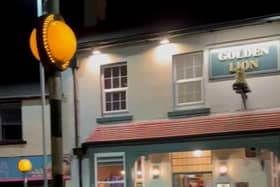 Five wild boars outside a pub in Cinderford, Gloucestershire.