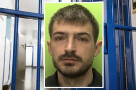 Arnold Elezi jailed for growing cannabis