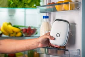 The Shelfy claims to be able to make food last up to 12 days longer