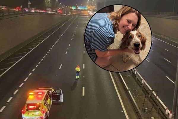 A lost dog has been reunited with his owner - after she caused the motorway to temporarily shut down 8 TIMES!!!