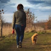 Many plan to start a new eating and exercise regime in the New Year
