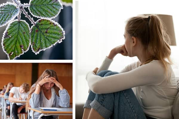 This time of year can be a lot for students 
