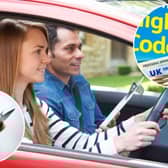 From theory to driving tests, it turns out there's an app for that