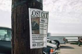 Over 25,000 pets have been reported missing since the beginning of 2023, with estimates showing that six pets vanish every day. 