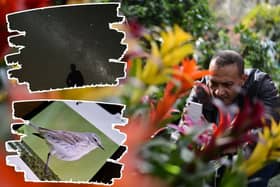 There are apps for IDing plants, birdsong, and even star constellations